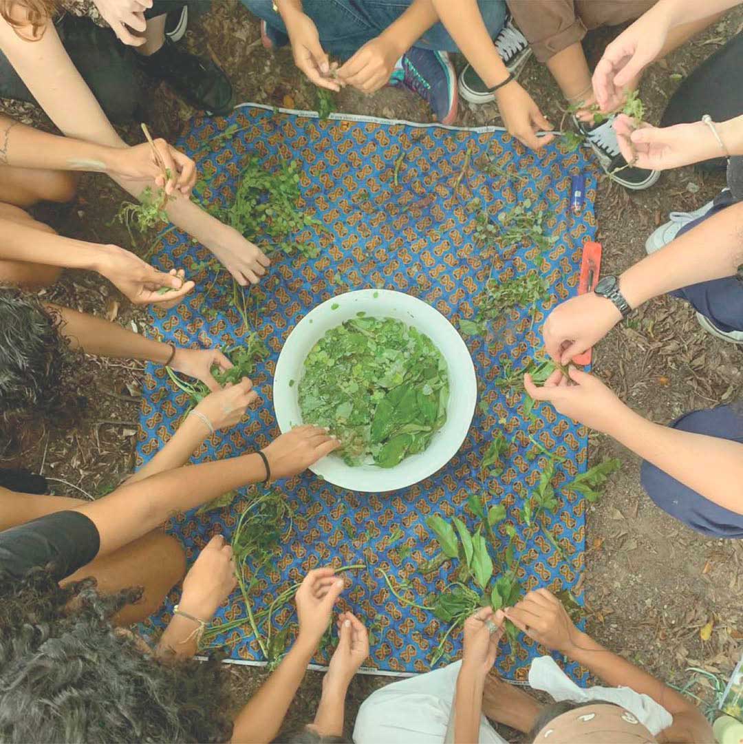 Grupo de pessoas sentado em círculo ao redor de um pano estampado no chão, manuseando folhas e galhos, com uma bacia cheia de ervas verdes no centro.