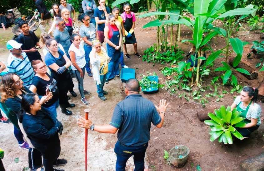 Grupo de pessoas acompanha uma atividade de jardinagem ao ar livre, em meio a plantas e árvores. Um homem ao centro fala e orienta os participantes, enquanto uma mulher segura uma muda de bromélia pronta para o plantio.